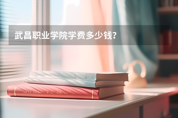 武昌职业学院学费多少钱？