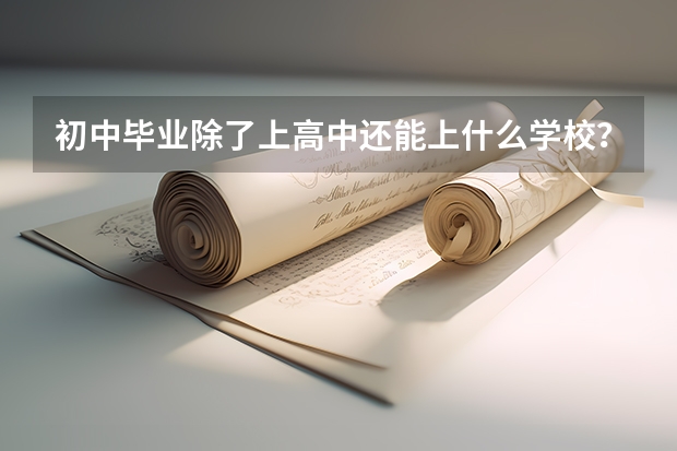 初中毕业除了上高中还能上什么学校？